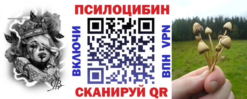 где купить наркотик  Зима  нарко площадка какой сайт  Галлюциногенные грибы Psilocybe 
